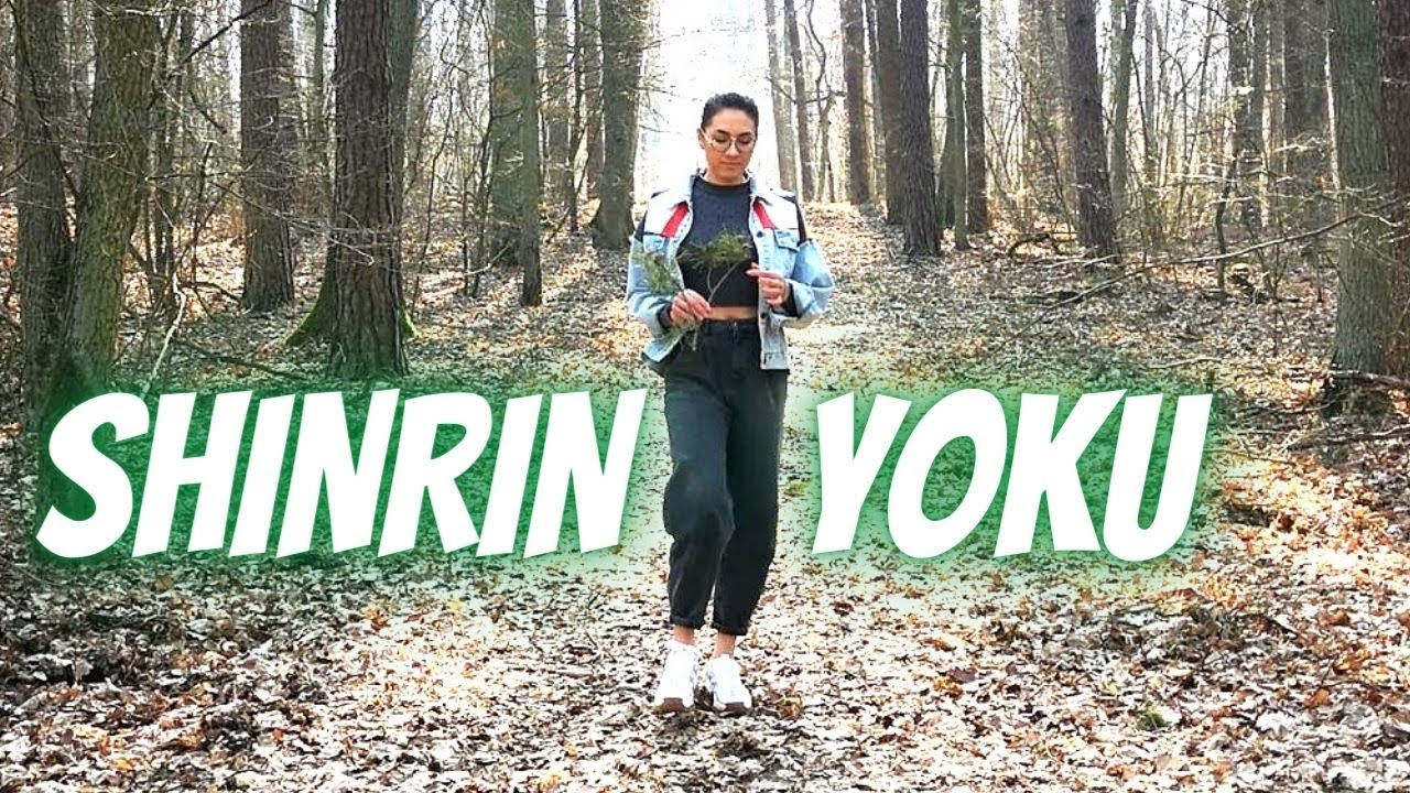 Jak las wpływa na zdrowie? 🌲