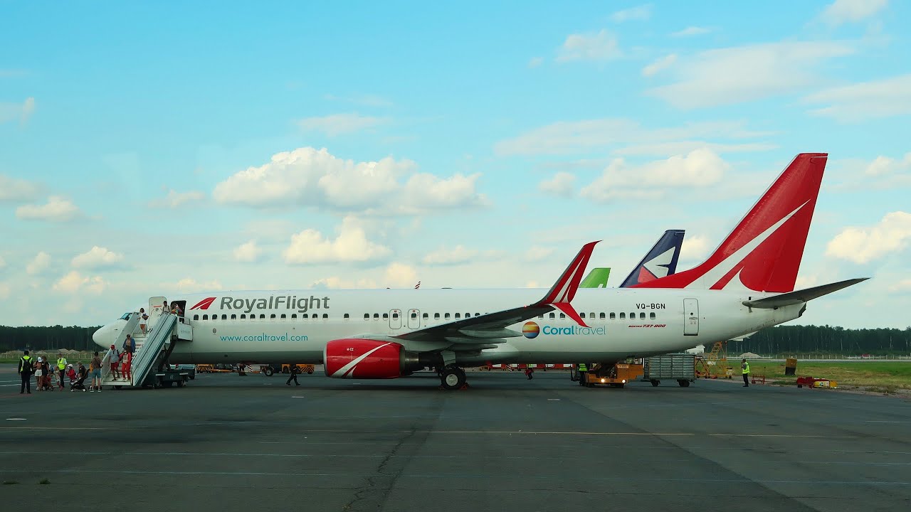 Boeing 737-800 а/к Royal Flight | Рейс Сочи - Москва (Домодедово)