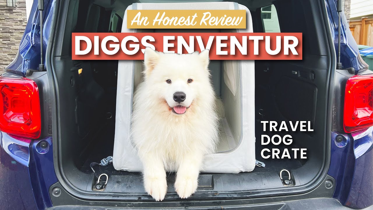 Diggs Enventur Inflatable Dog Crate: An Honest Review | Pet Product