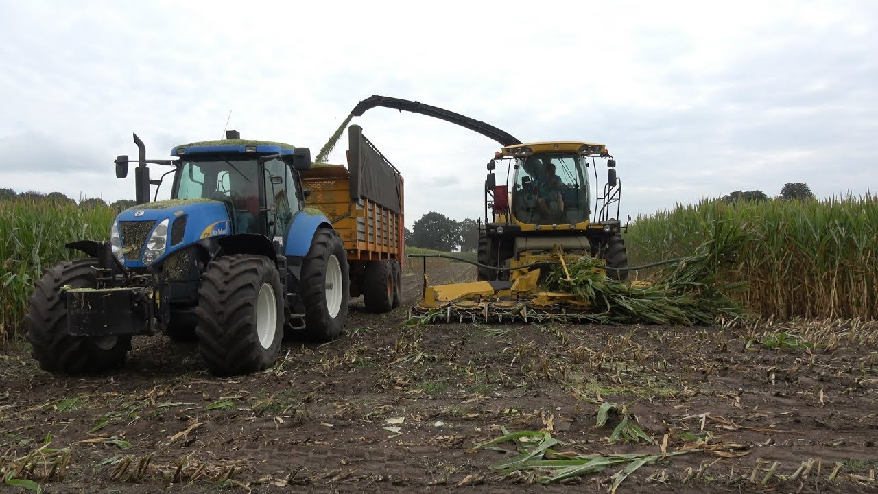 Loonbedrijf ten Cate in de mais met New Holland FR500, T6080 en T7050 - deel 1 (2018)