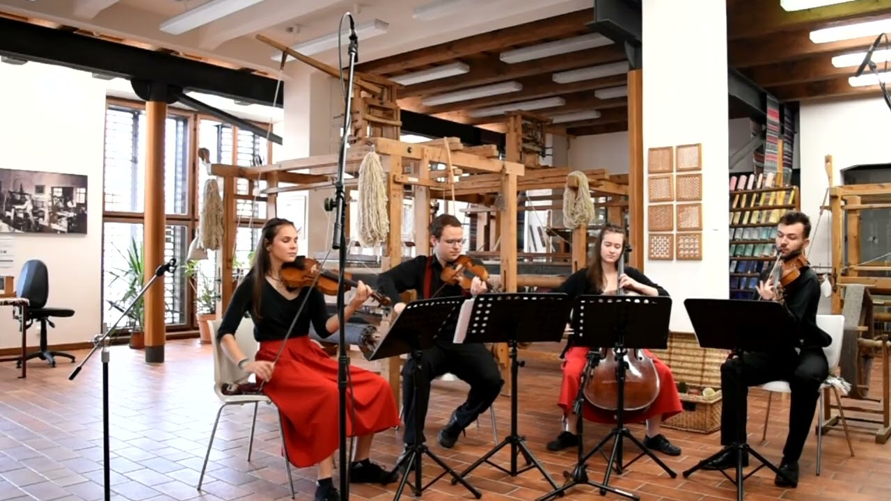 Smyčcov&eacute; kvarteto - Coldplay - Viva la vida