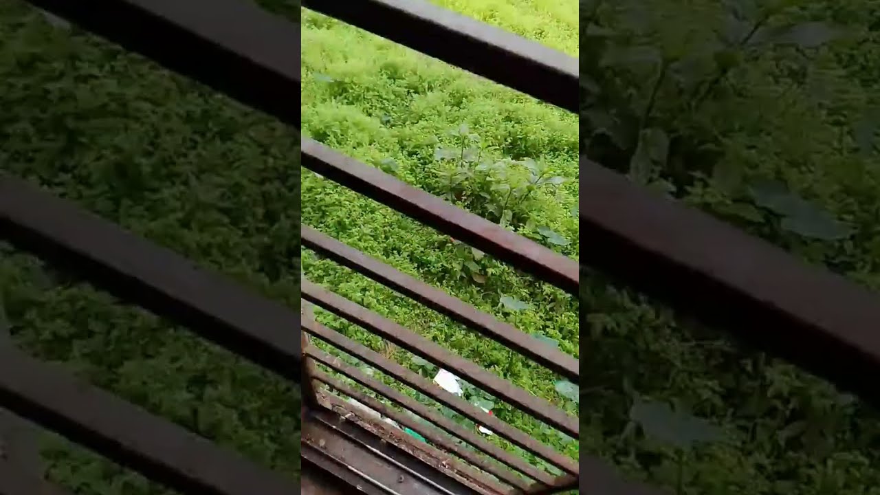 bijoy of the best is live!