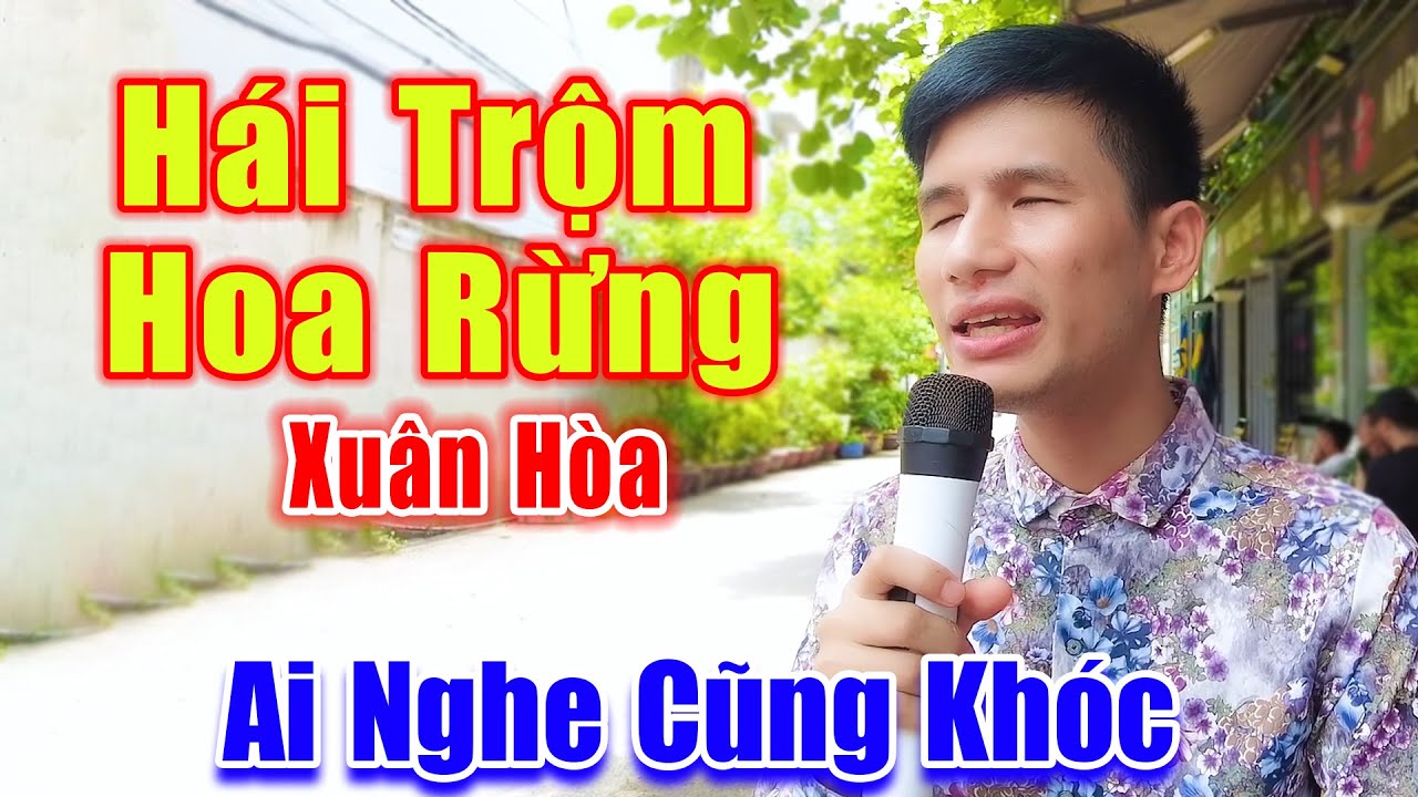 Hái Trộm Hoa Rừng - Giọng Ca Chàng Trai Mù Xuân Hoà Ai Nghe Cũng Rơi Lệ Xót Xa
