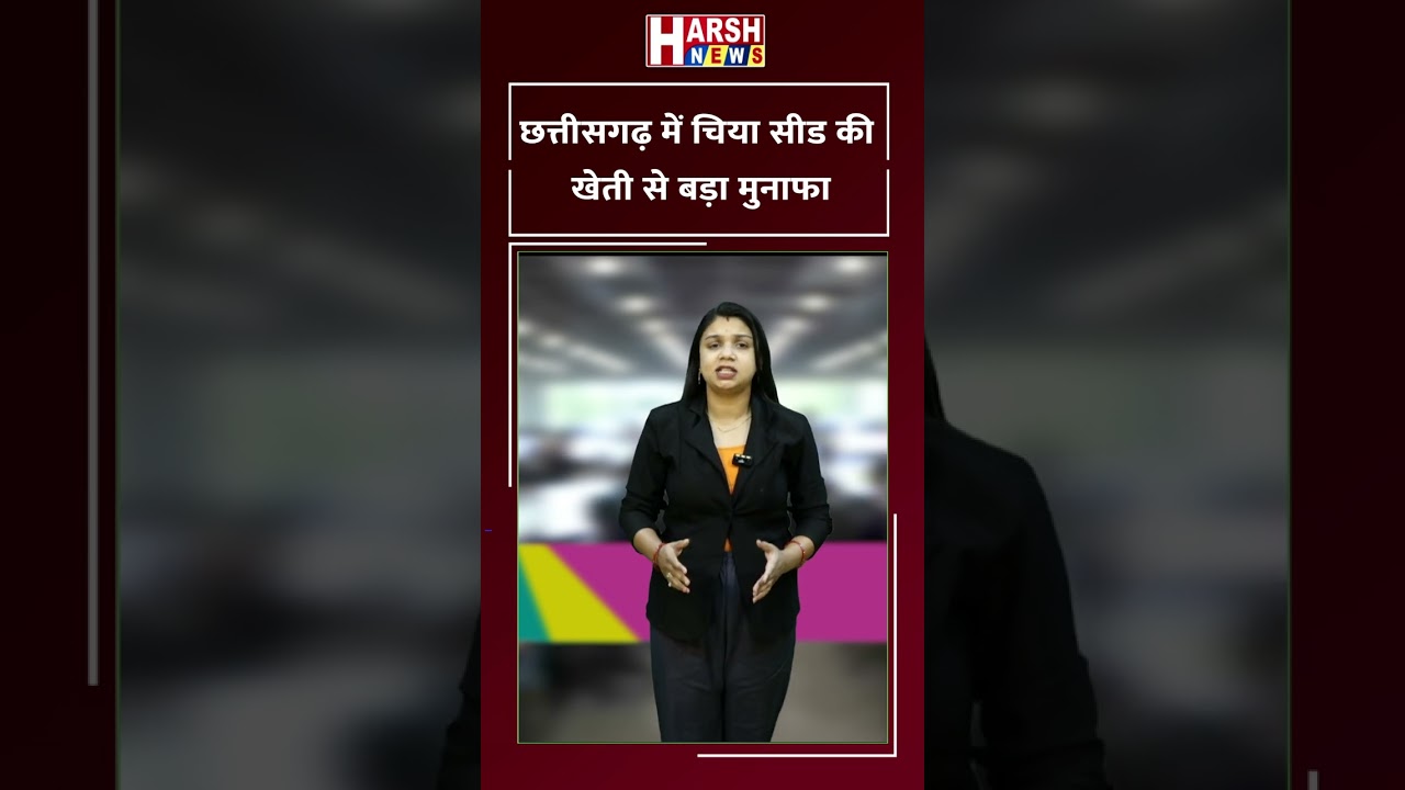 छत्तीसगढ़ में चिया सीड की खेती से बड़ा मुनाफा