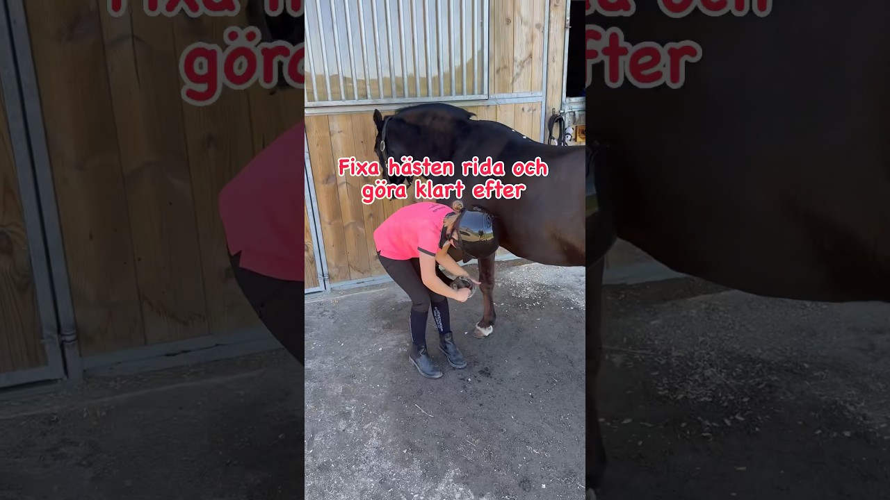 Fixa h&auml;sten rida och Svampa 😍 #horse #jump #showjumping #love #rider #showjumper #showjump #pony
