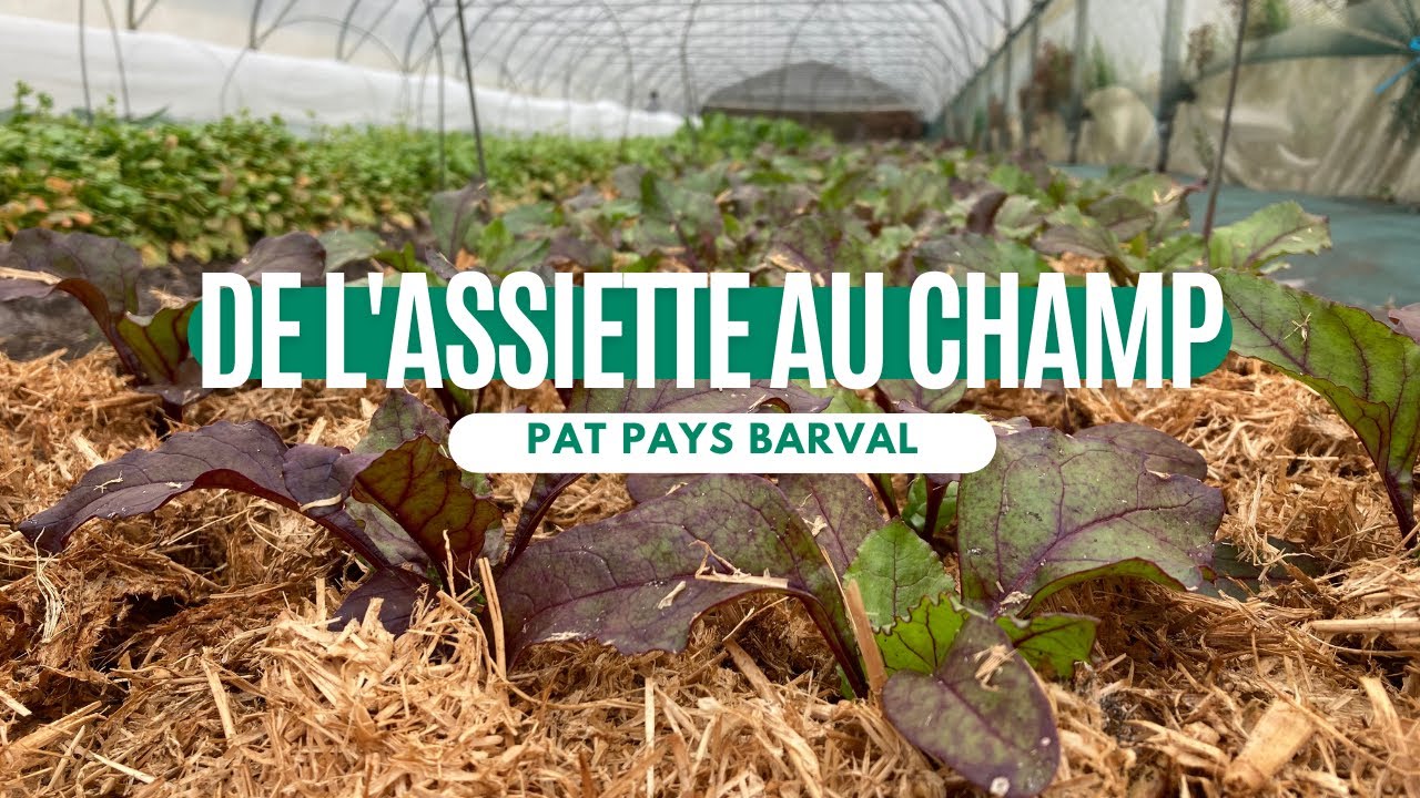De l'assiette au champ : le Projet Alimentaire Territorial du Pays Bassin d'Arcachon-Val de l'Eyre