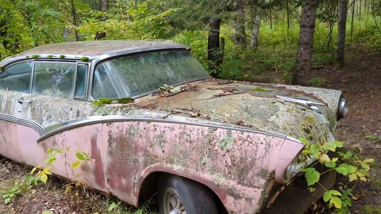 Some Classic Cars