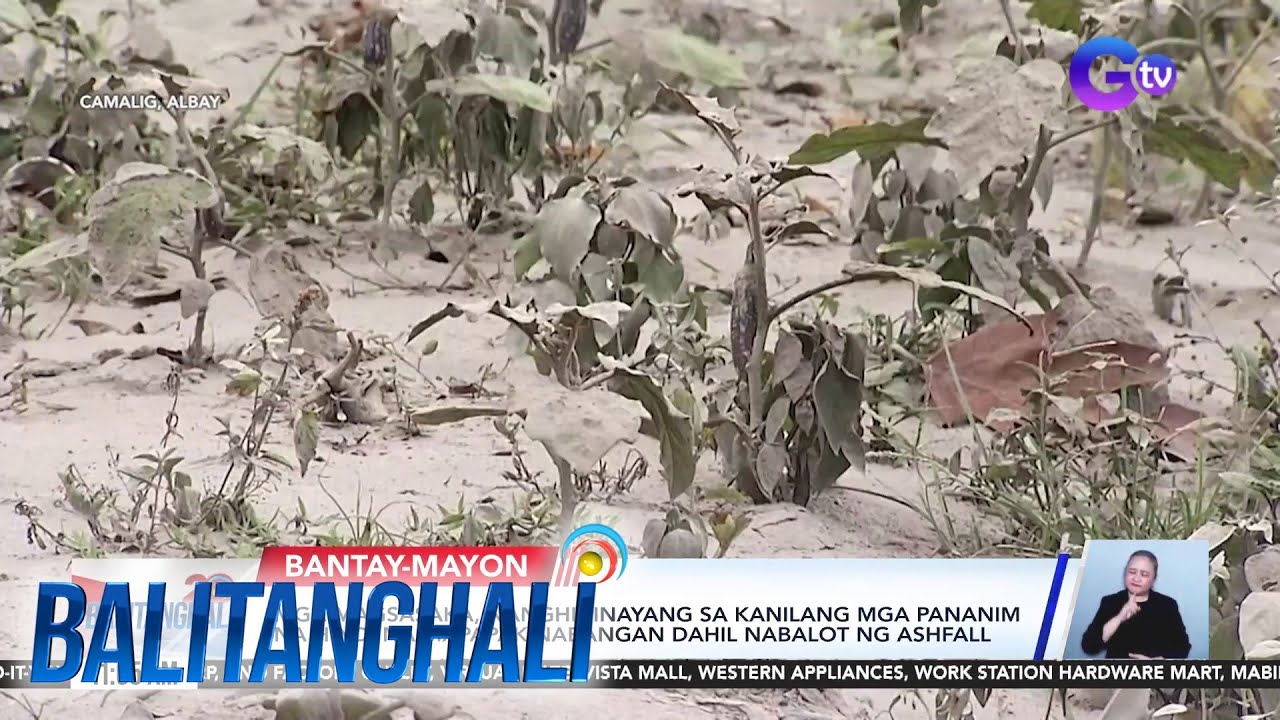 State of Calamity | Balitanghali