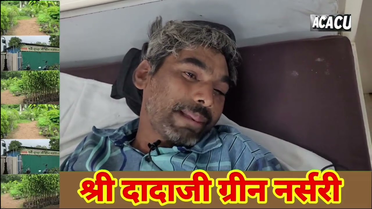 खंडवा : मधुमक्खियां ने किया किसान पर हमला. घायल अवस्था में कराया गया अस्पताल में भर्ती 