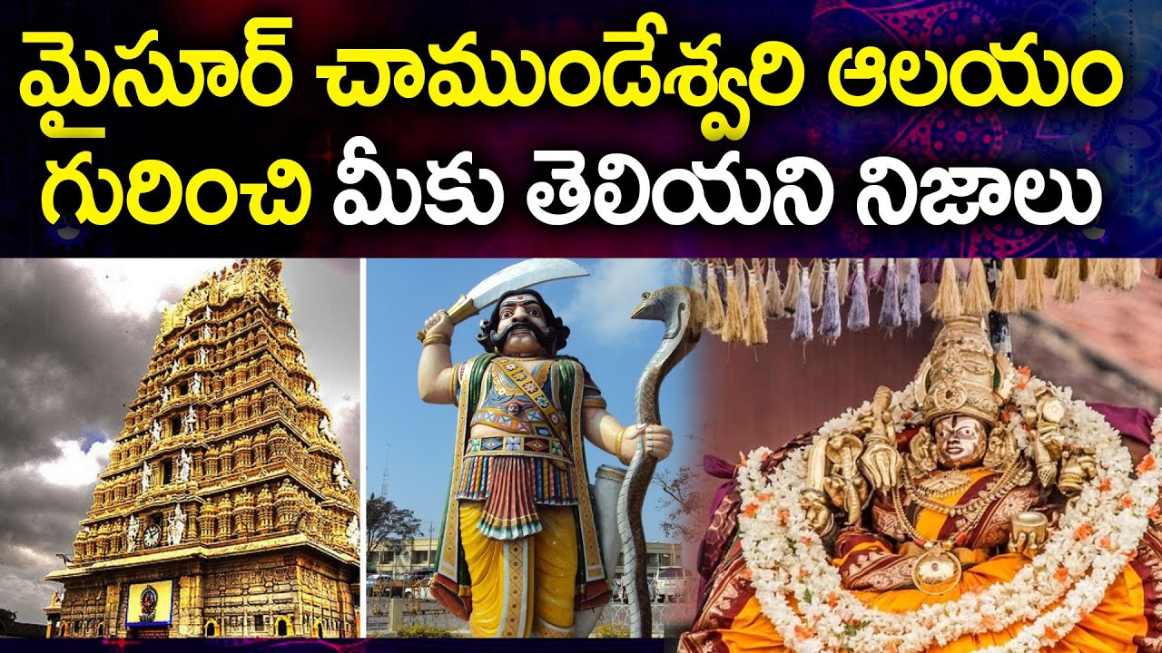 Unknown Facts About Mysore Chamundeshwari Temple | Chamundeshwari Temple History | Pooja Phalam