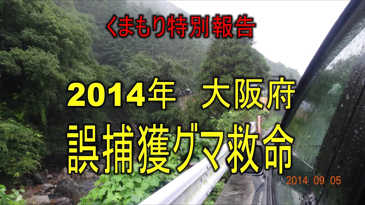 2015年4月特別報告大阪とよ全国大会（12分バージョン）