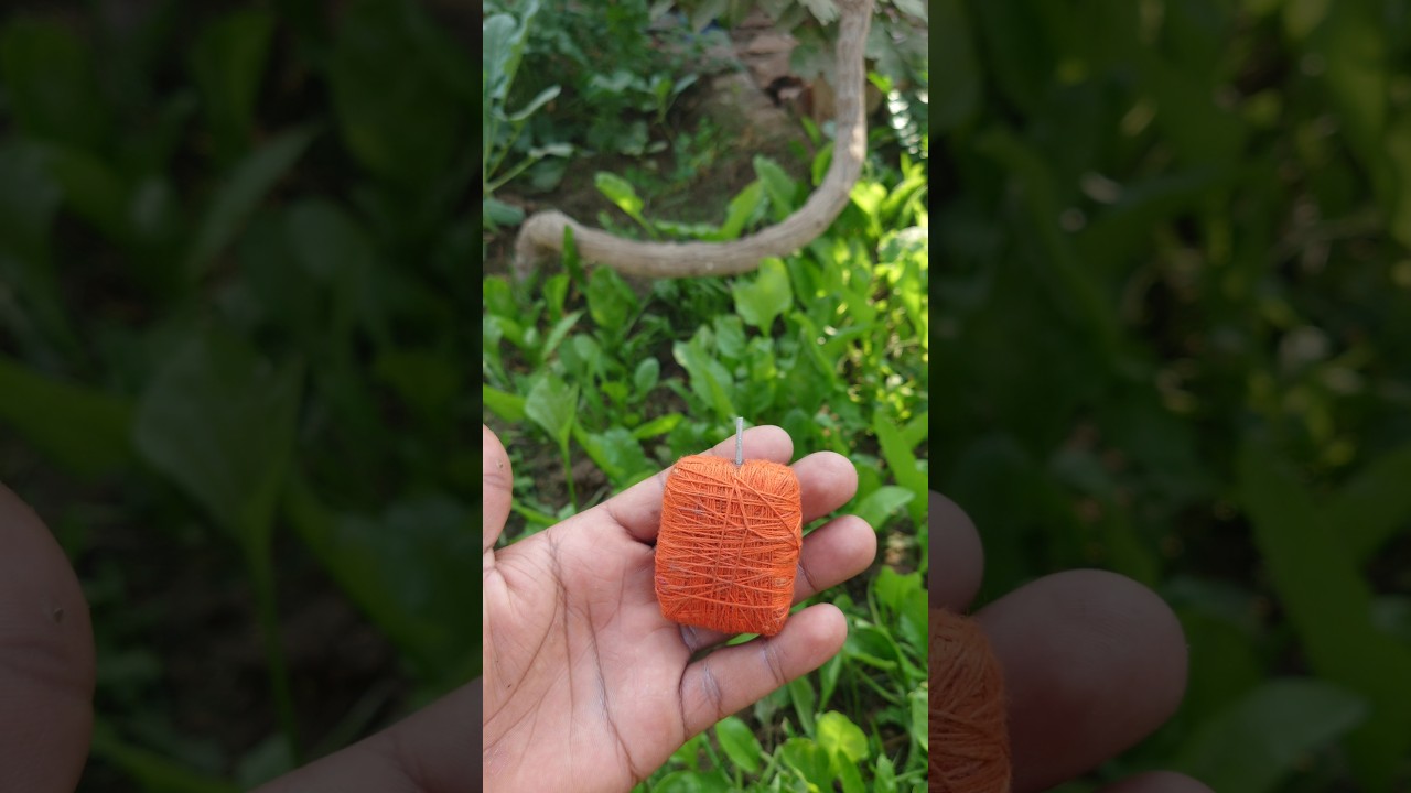 Homemade Sutli bomb || Very loud sound || didn't expected this#experiment #fireworks