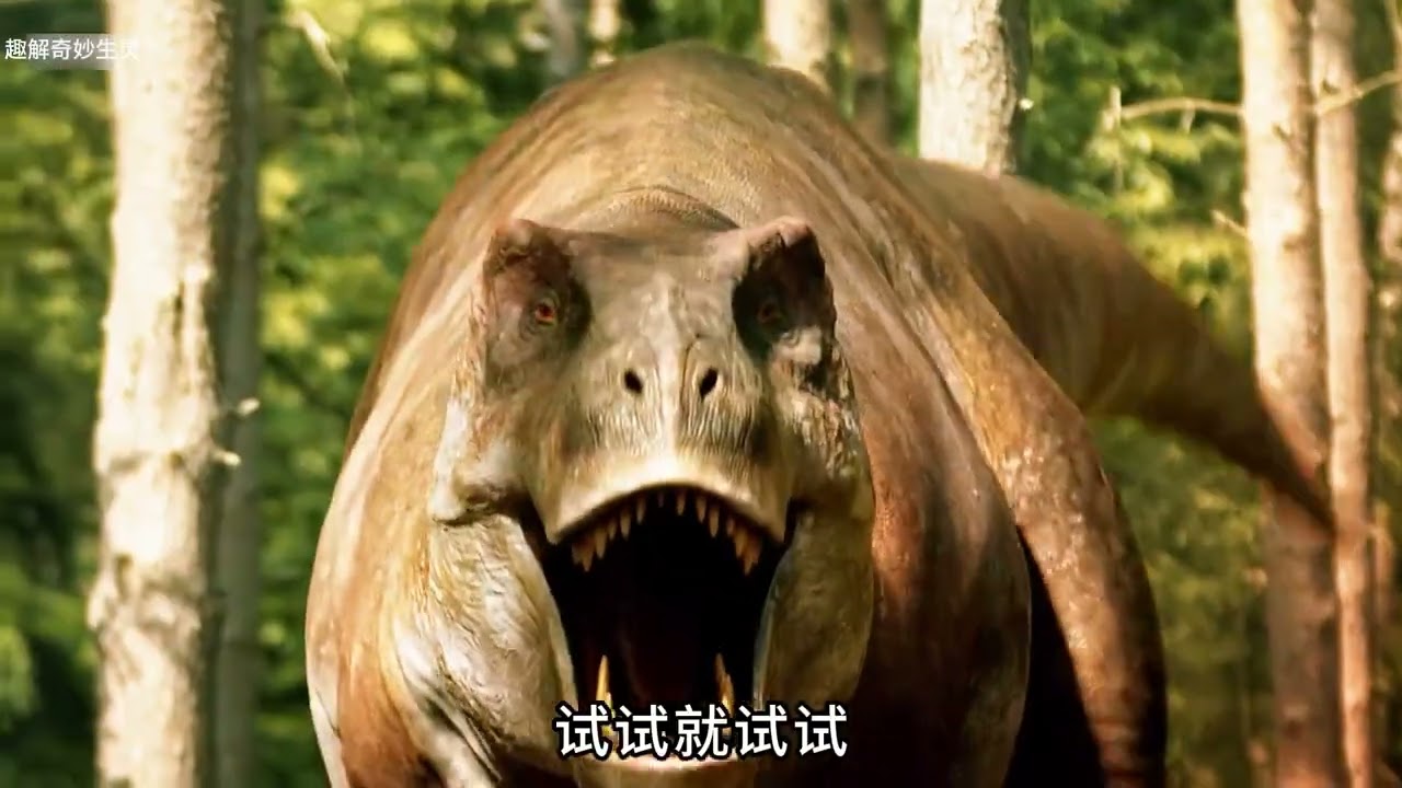 The legendary adventure of the little Triceratops#Dinosaur#Paleontology#The magical creatu