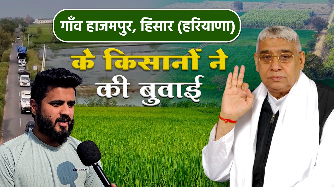 बाढ़ के पानी मुश्किलों को मात देकर गाँव हाजमपुर, हिसार (हरियाणा) में किसानों ने की बुआई।Hajampur