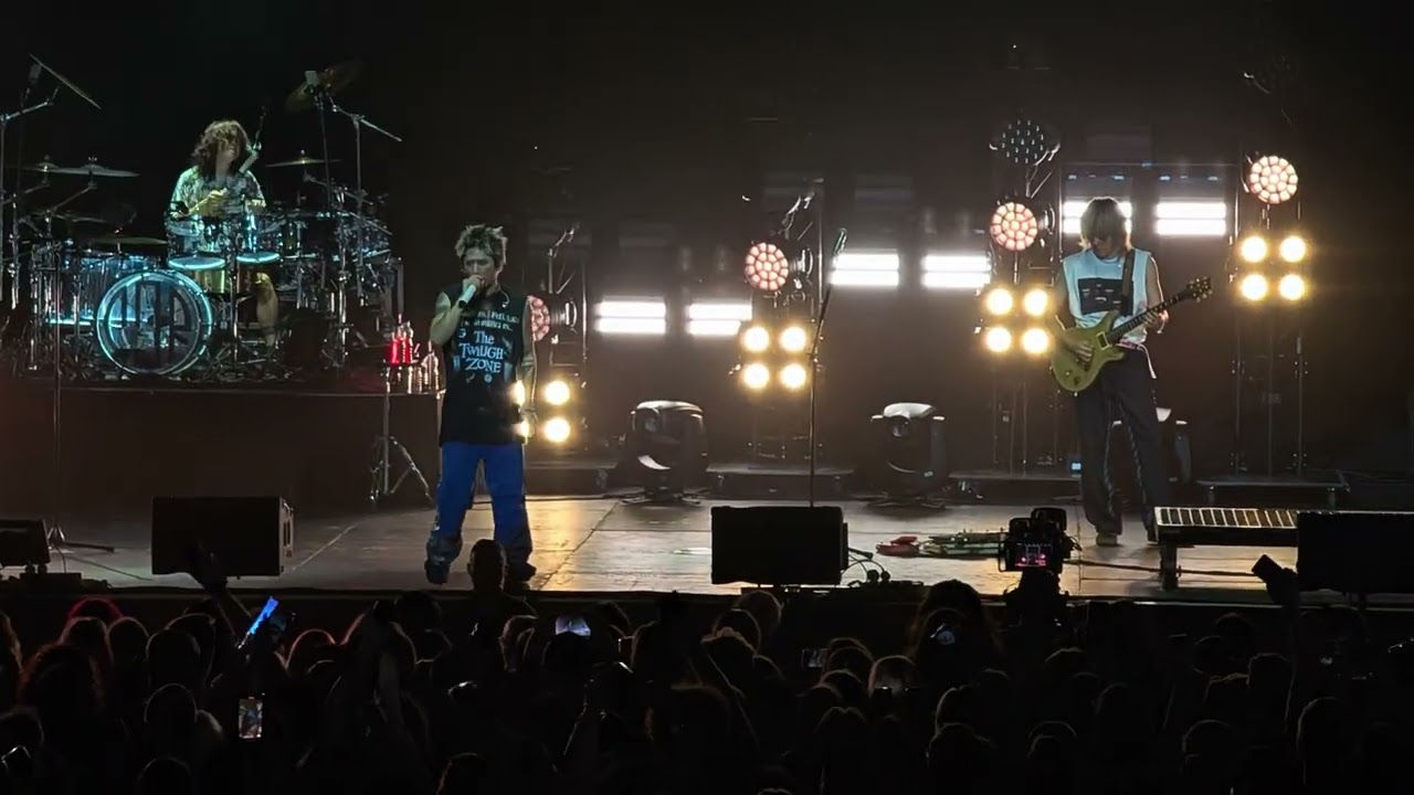 ONE OK ROCK - The Pilot - Страсбург (11.10.2025)