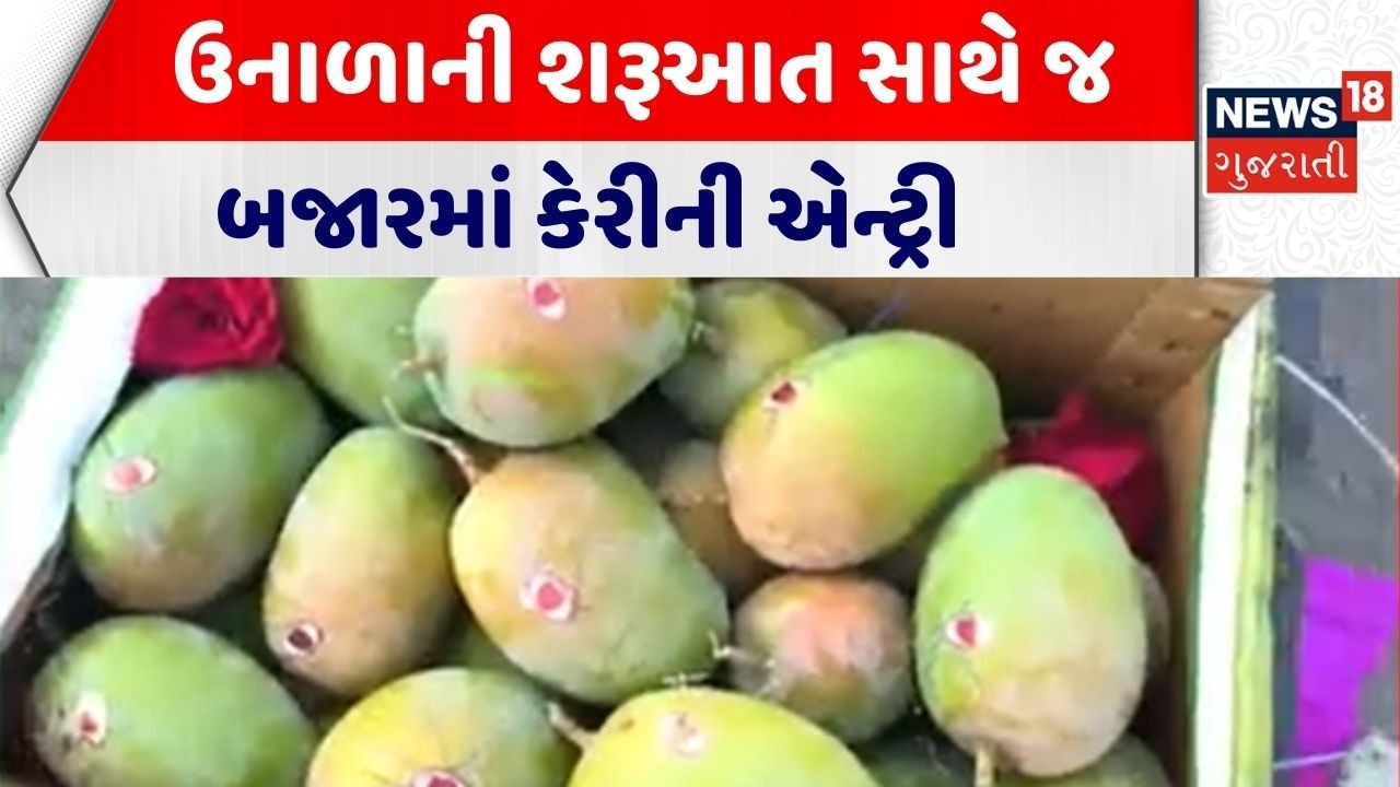 Porbandar APMC News | ઉનાળાની શરૂઆત સાથે જ બજારમાં કેરીની એન્ટ્રી | Kesar Mango | Kesar Keri Auction