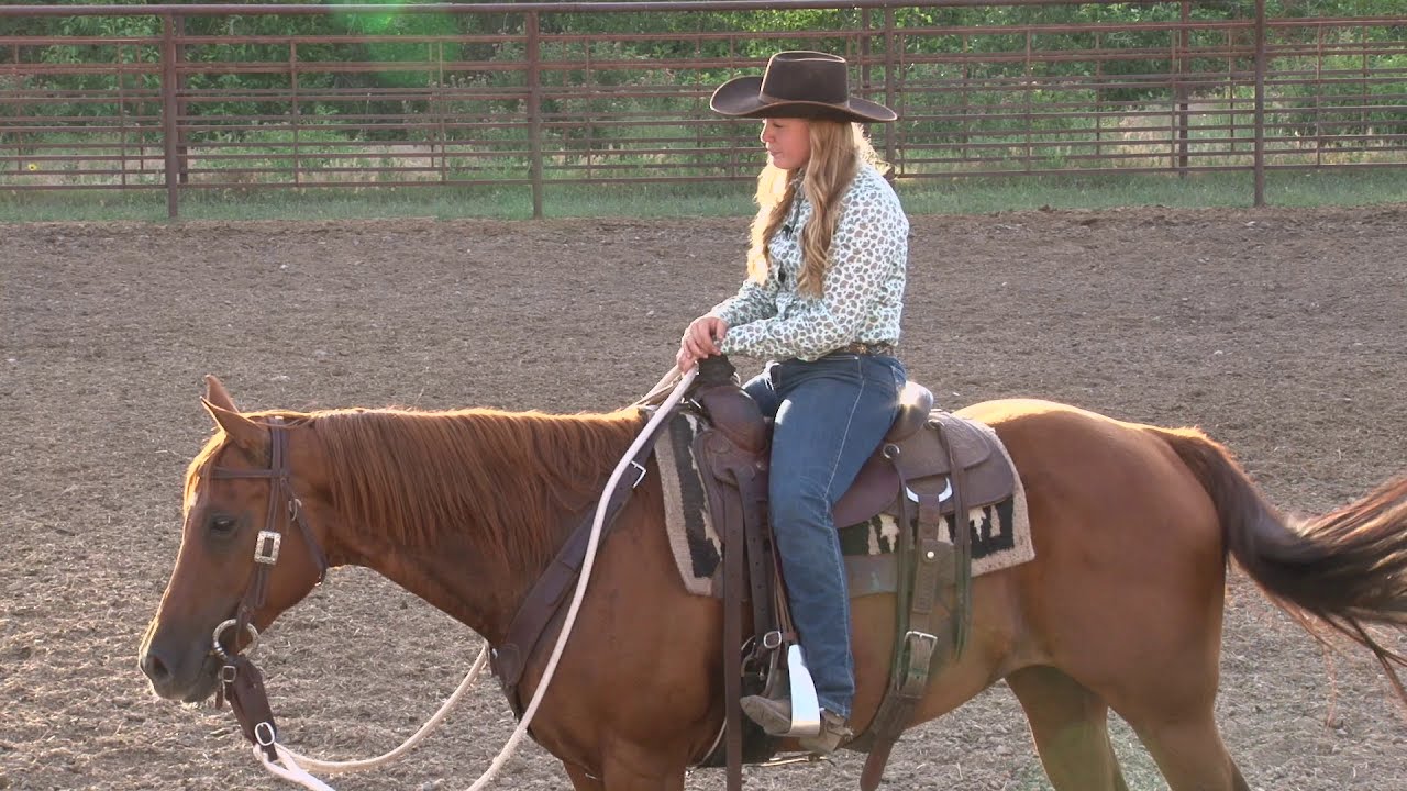 Ken McNabb: How to Spook-Proof Your Horse