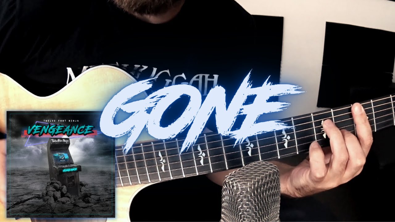 Twelve Foot Ninja - Gone • Fingerstyle