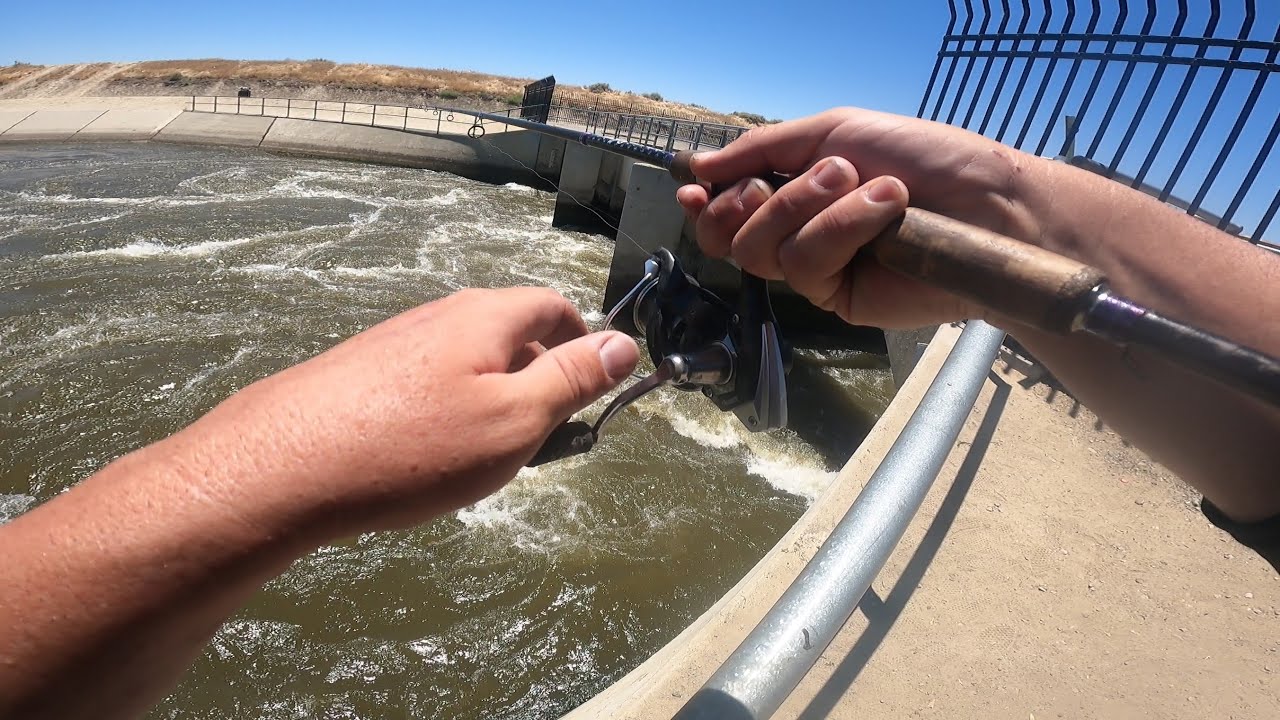 Techniques And Tips To Catch Striper In The Gate At The Ca  Aqueduct