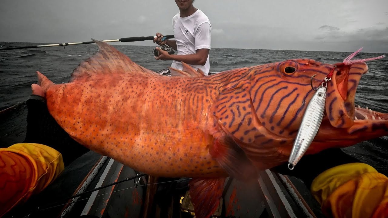 Mamaw na Lapu - Lapung Pula 😱(Corral Trout Grouper) Dali Sa Light Jigging ‼️