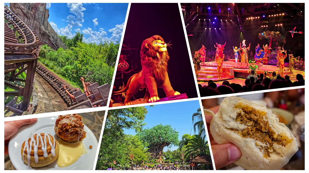 Disney's Animal Kingdom | Boma Flavors of Africa Breakfast | Festival of the Lion King | WDW Vlog