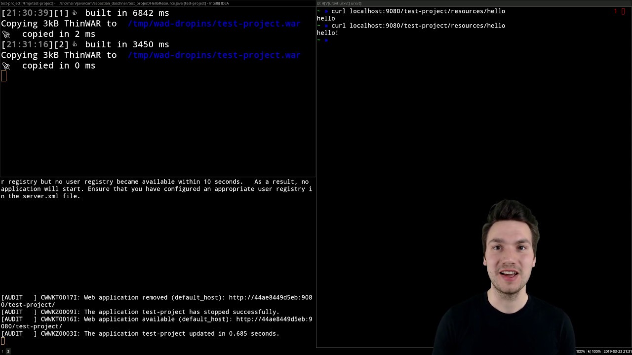 Hot-deploying Java Enterprise with WAD & Docker
