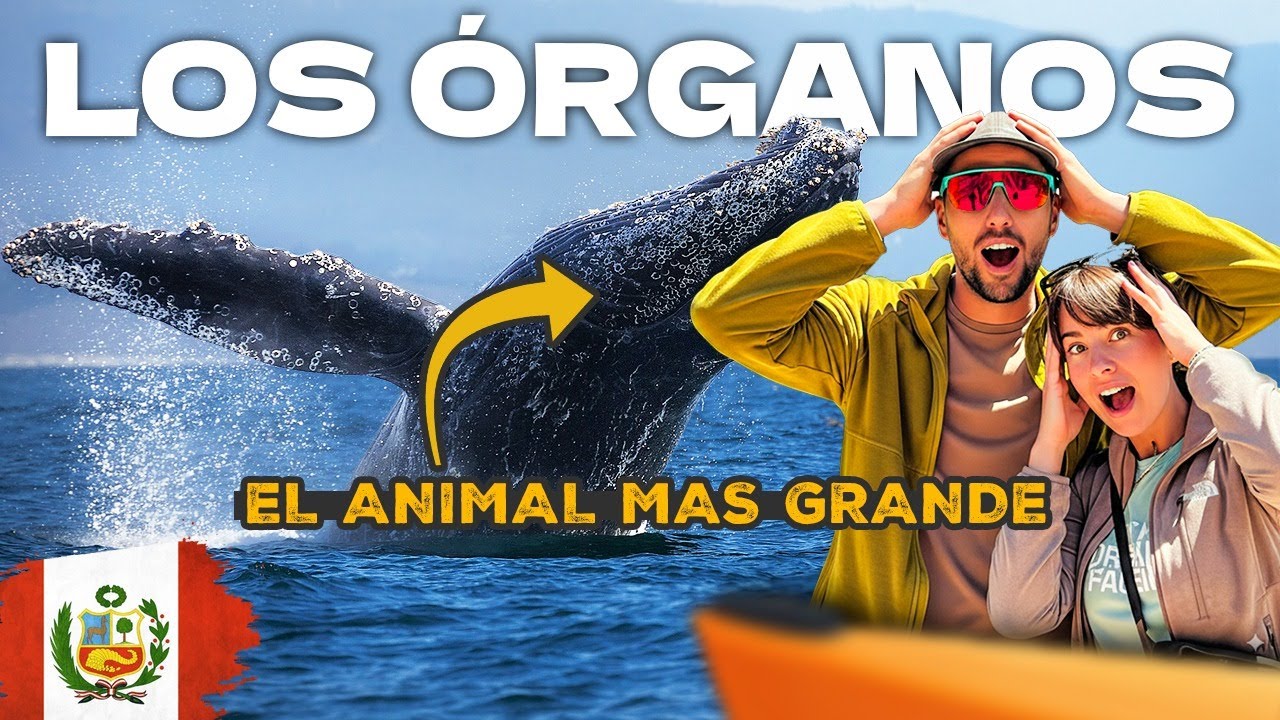 🫣QUE LOCURA DE LUGAR!! LOS ORGANOS 🇵🇪PERÚ.[TP 04 -EPI 0123] EL GRAN VIAJE