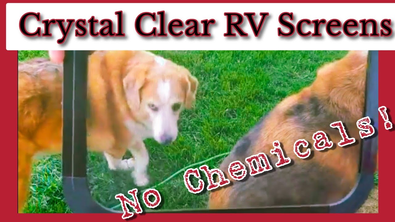 RV Screens. Best Way To Clean! No Chemicals! #offgridrv #offgridtinyhome