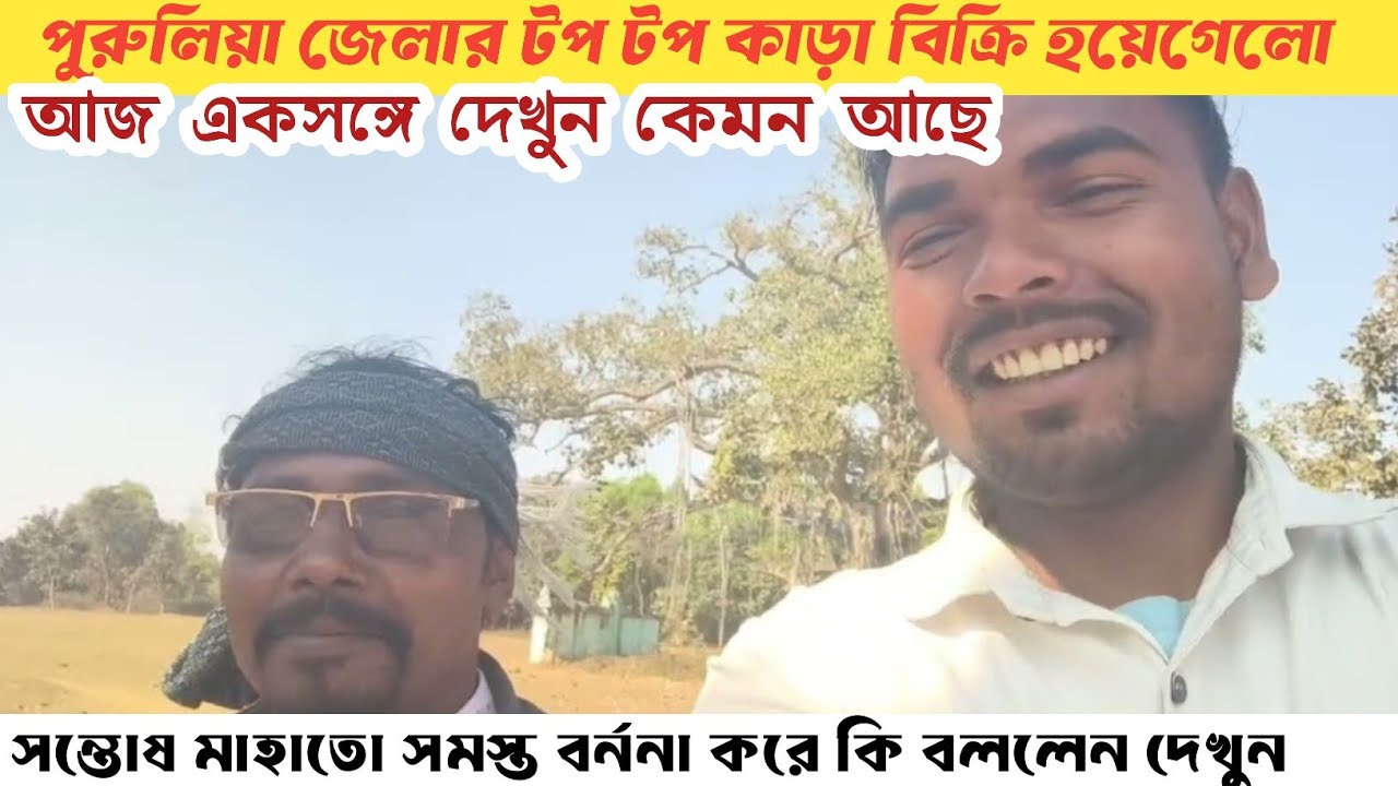বীর বীর কাড়া বিক্রি হয়েগেলো! শেষ দেখা দেখুন একবার একসঙ্গে সমস্ত কাড়া গুলি।।