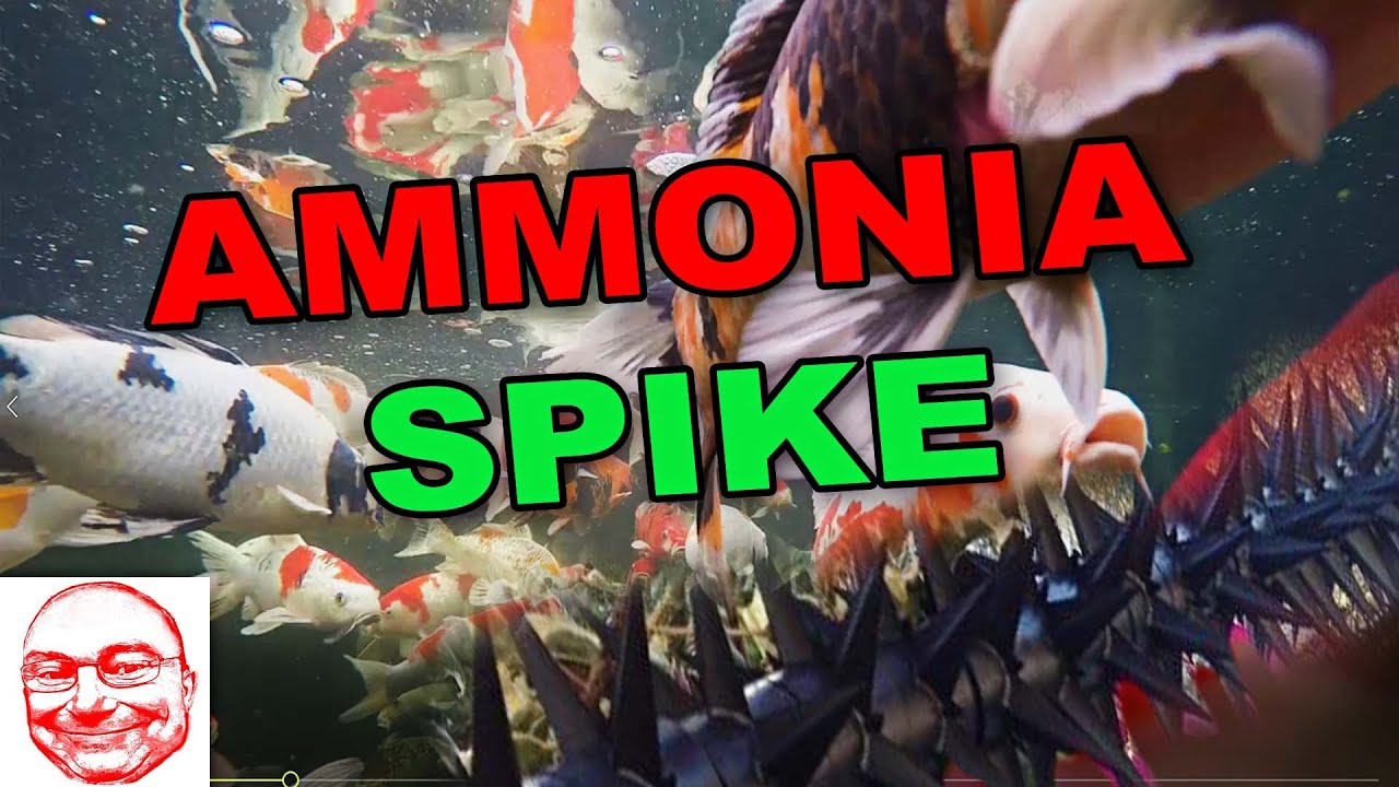 Резкий выброс аммиака.