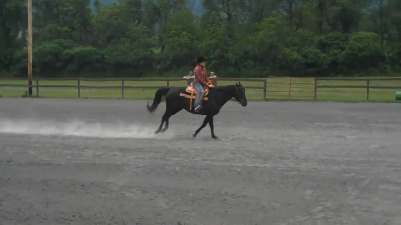 Erin on Lexi in 4H Keyhole Competition