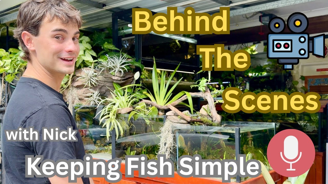 Nick from Keeping Fish Simple Visits Adrian&rsquo;s Fishroom Behind the Scenes + Waterfall River Tank Tour
