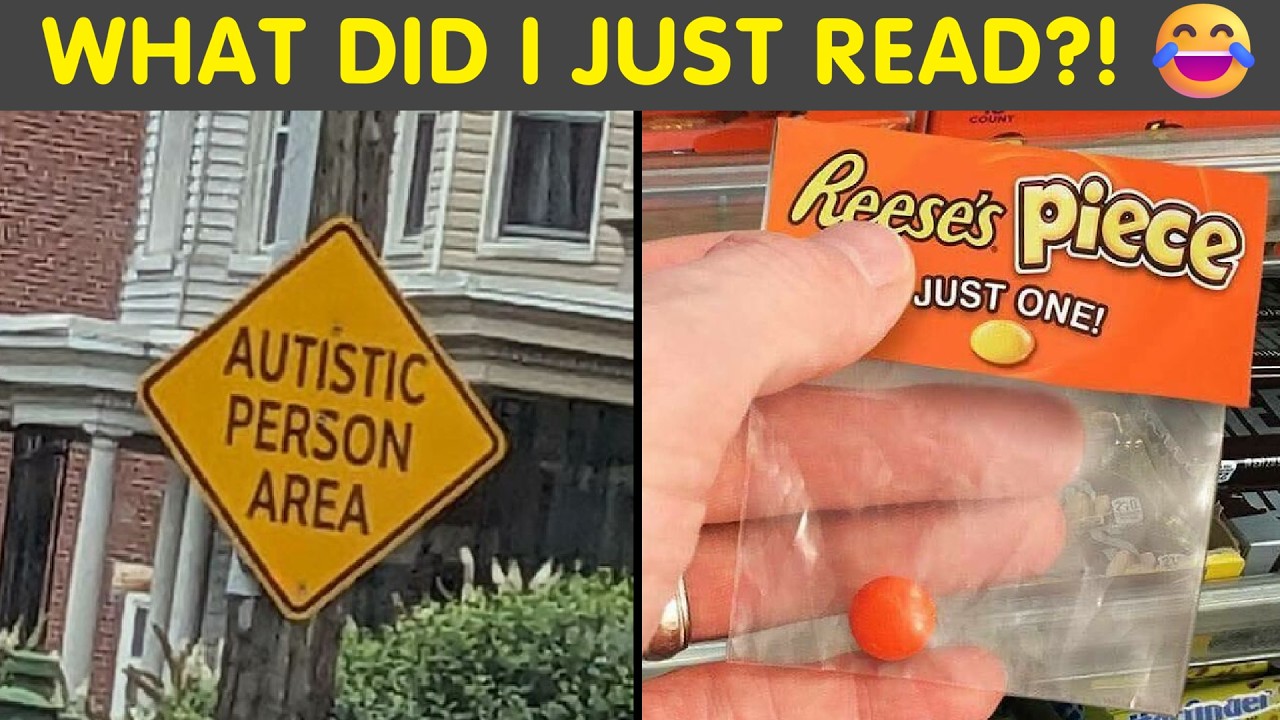Wildest Memes Ever — From “WTF Did I Just Read?” to LOL 😂