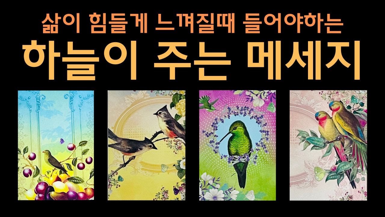 잘풀릴 인생을 위한 하늘의 메세지 ❤️ 솔직리딩