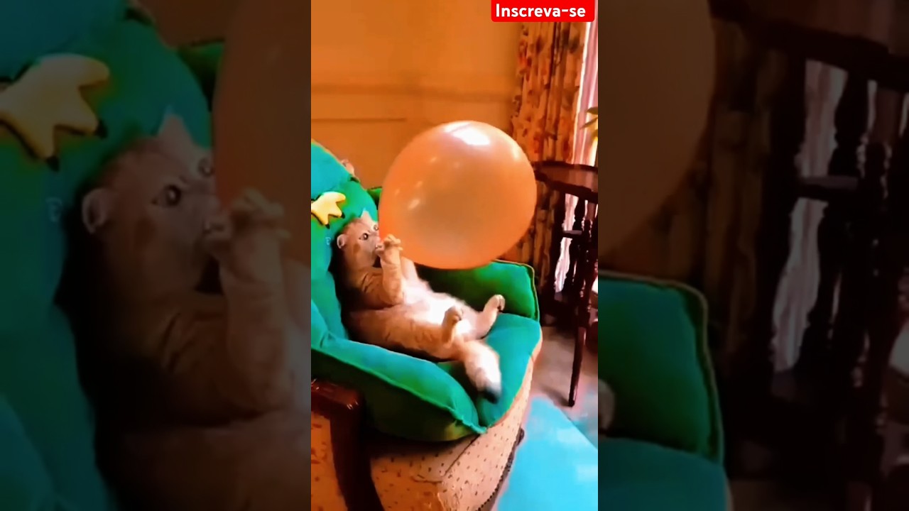 Enchendo Bal&atilde;o #shortvideos #comedy #comedia #funny #comedyshorts