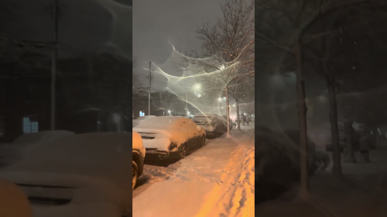 Fuerte Nevada En NYC 🗽 02-22-2026