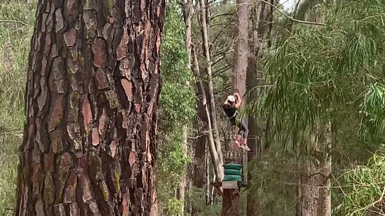 Forest Adventures.  Busselton. WA.