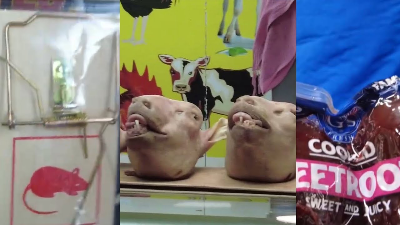 SHOPPING FOR MICE TRAP BEETROOTS AND SAW THESE HEADS