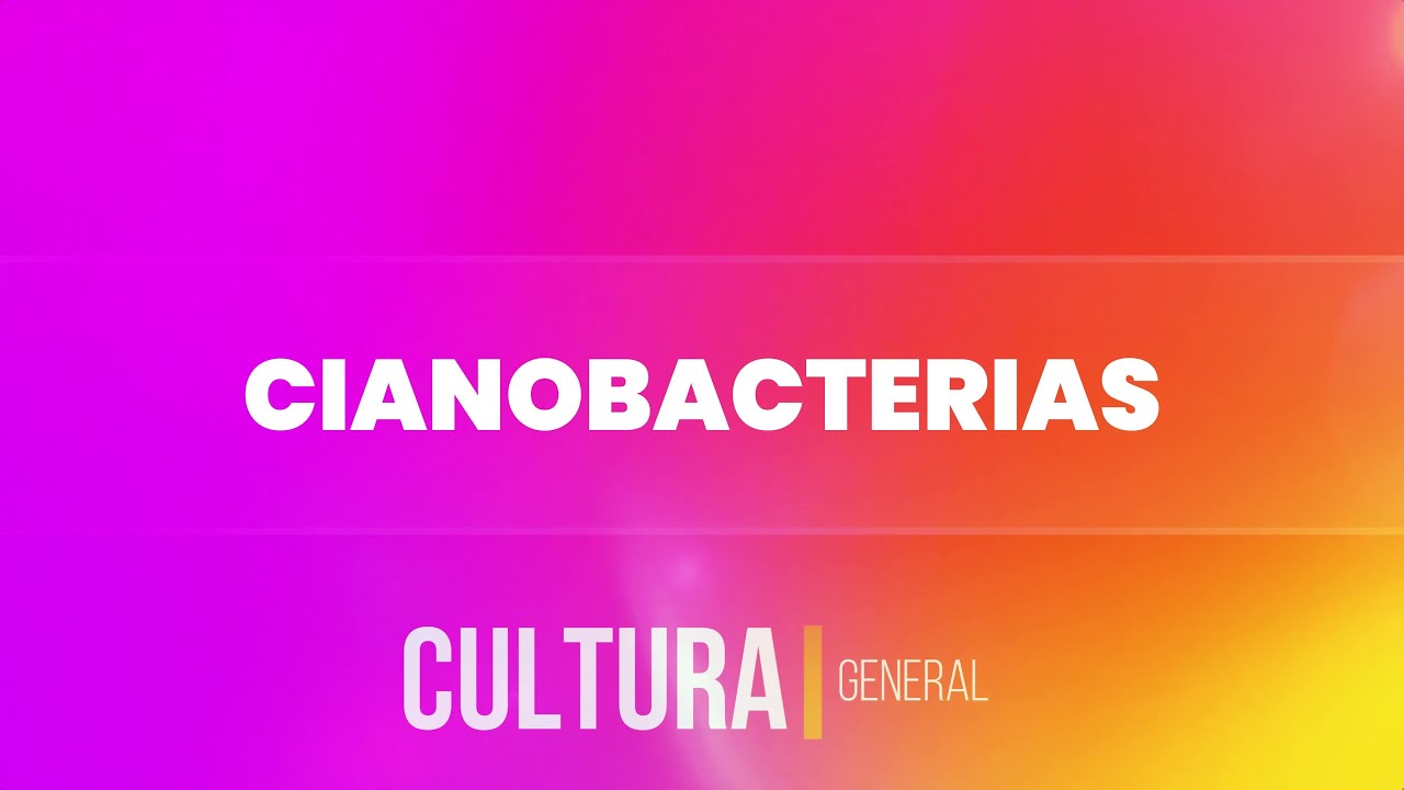 🦠 CIANOBACTERIAS: Historia, Informaci&oacute;n y Datos curiosos