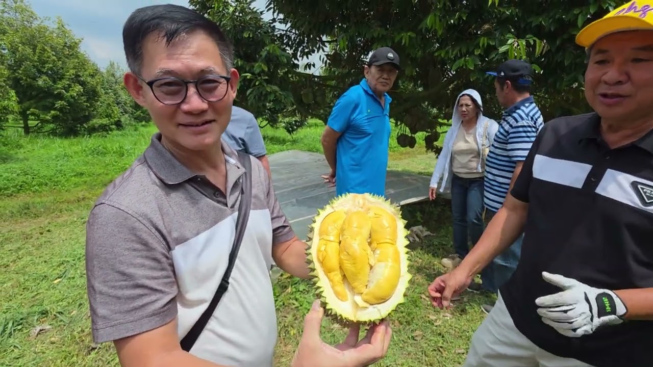 Menikmati hasil Panenan durian Kebun RB bersama teman teman