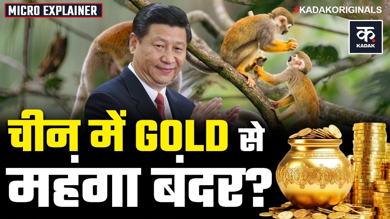 China में Gold से भी ज्यादा महंगे क्यों बिक रहे बंदर? | China’s Exploding Lab Monkey Market | Kadak