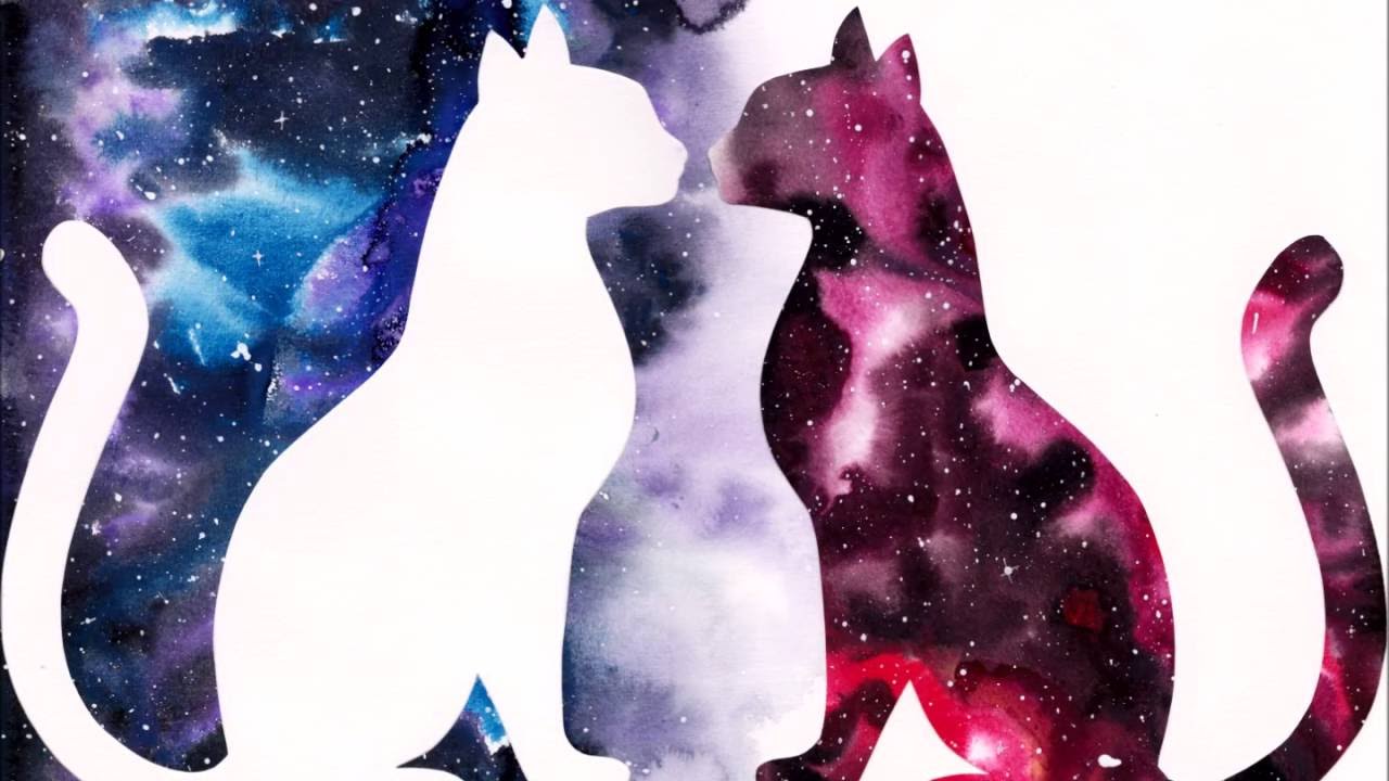 Galaxy Cats painting video