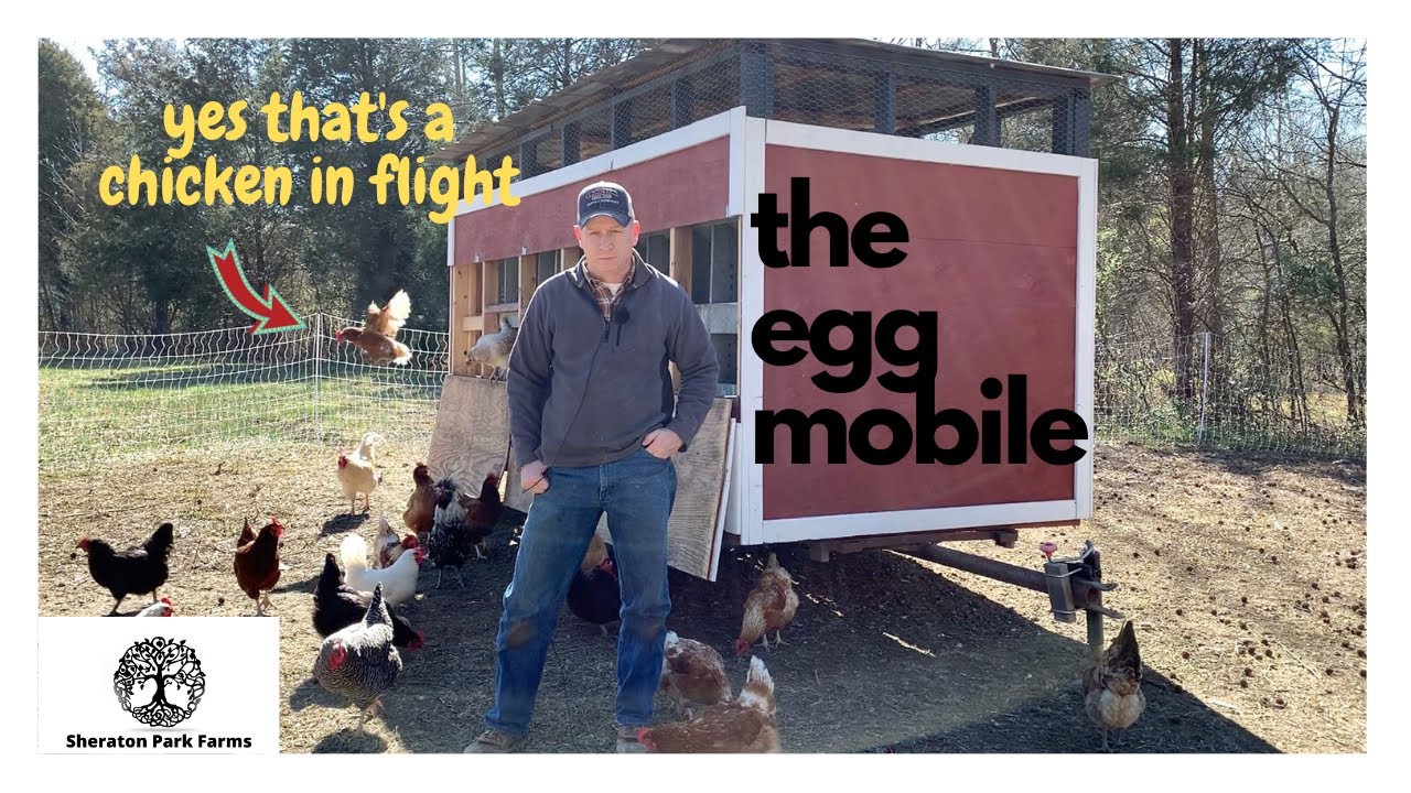 Eggmobile - Pastured Eggs vs Conventional