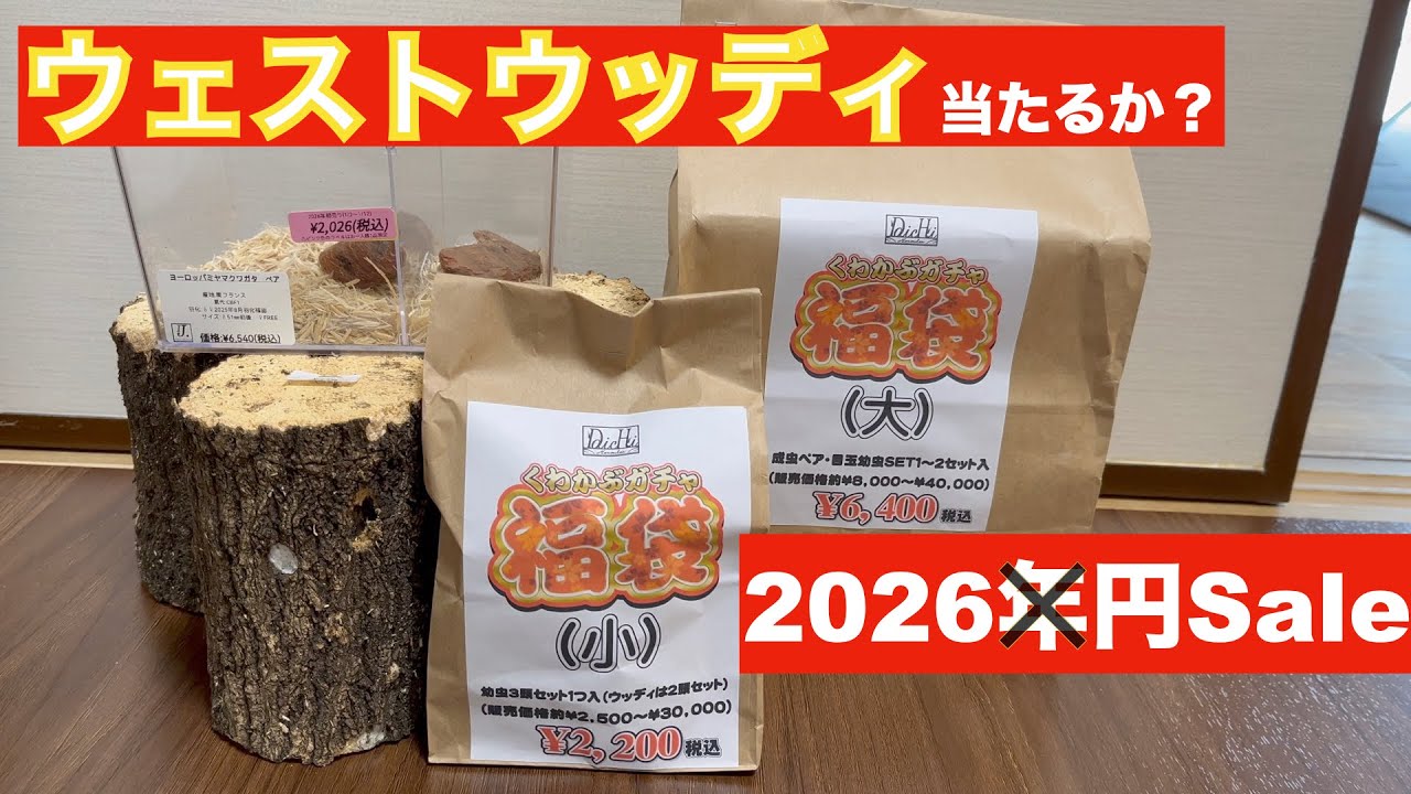 【福袋】2026年インセクトジョーカー くわかぶガチャ開封(大)(小)