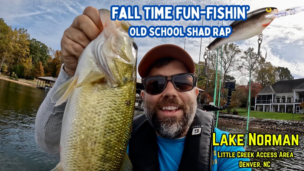 Ловля окуня на стайную приманку Rapala Shad Rap – озеро Норман, район доступа Литл-Крик