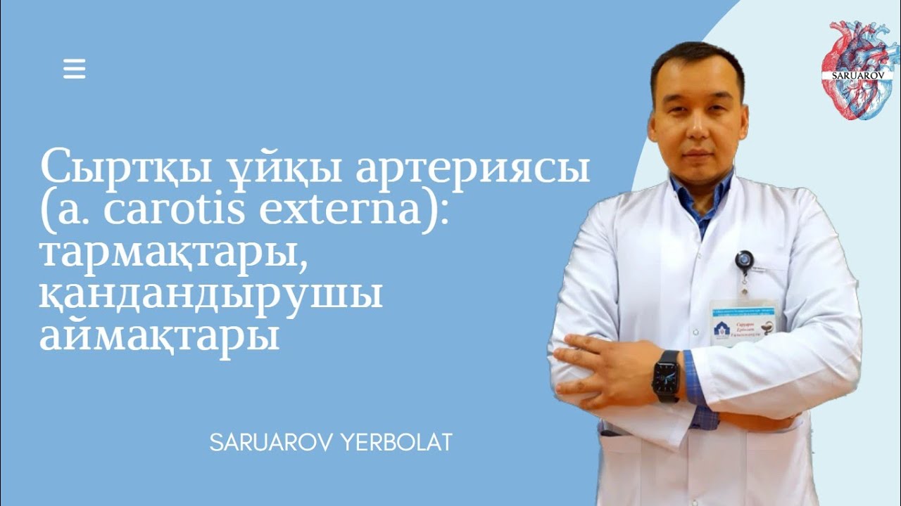 Сыртқы ұйқы артериясы (a. carotis externa): тармақтары, қандандырушы аймақтары