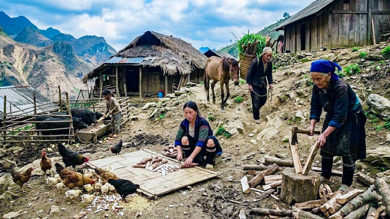 Life in a Poor Village on a Remote Mountain Peak | Farming and Raising Livestock