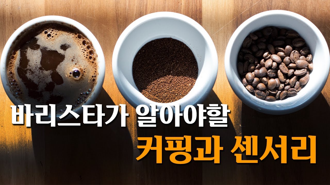 바리스타들이 알면 좋은 커핑과 센서리 이야기 [바리스타 커몬학습 4강]