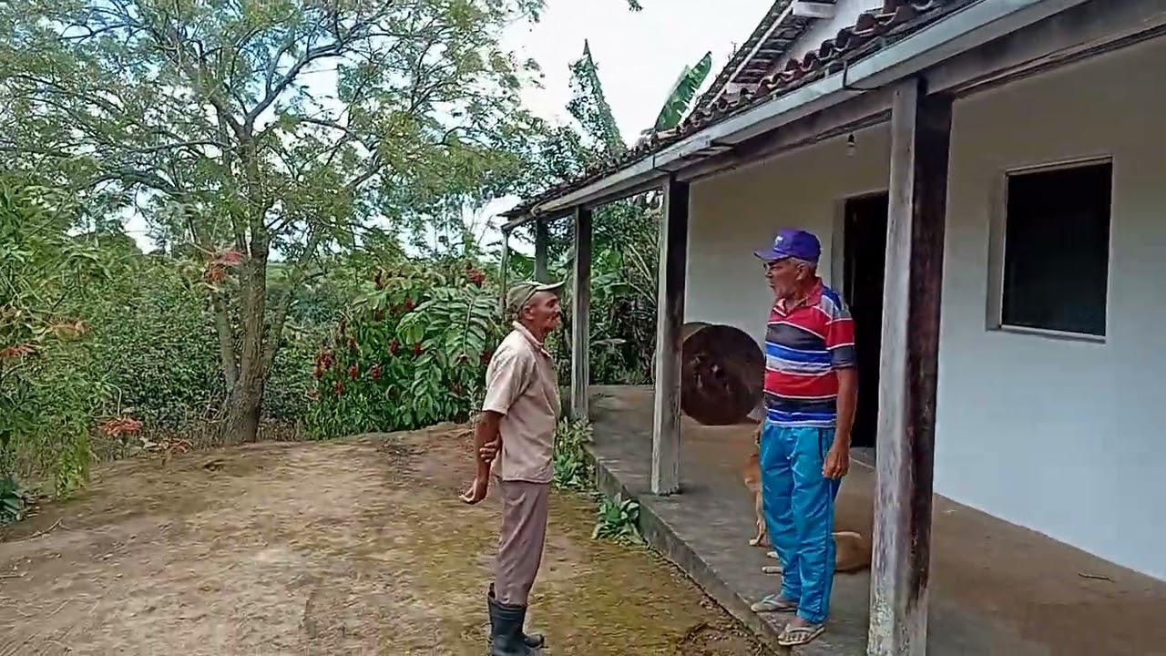 Vende-se esse sítio em bela vista Bom jardim-pe,1 hectares.7 valor  150 mil. zap 81999404206.