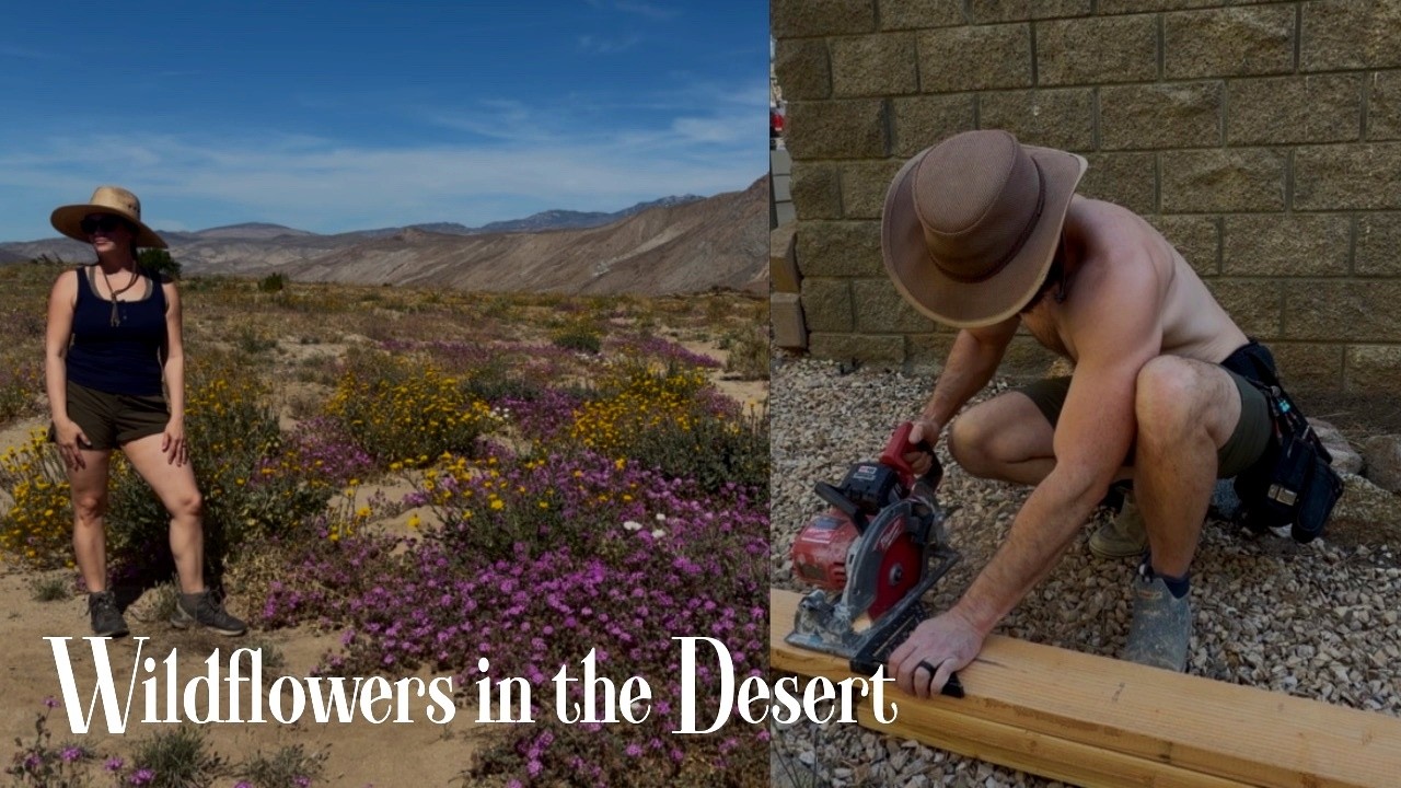 Preparing Our Spring Garden & Trip to the Desert Wildflowers